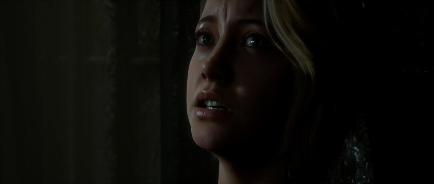 Bandai Namco The Dark Pictures Anthology: Man of Medan (PS4) - Horror Adventure Game, Model 113307