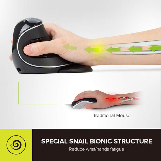 DeLUX Wireless Ergonomic Mouse, 4000DPI Vertical Design, 6 Buttons, Bluetooth+2.4G, Model M618PD, Removable Palm Rest for Comfort