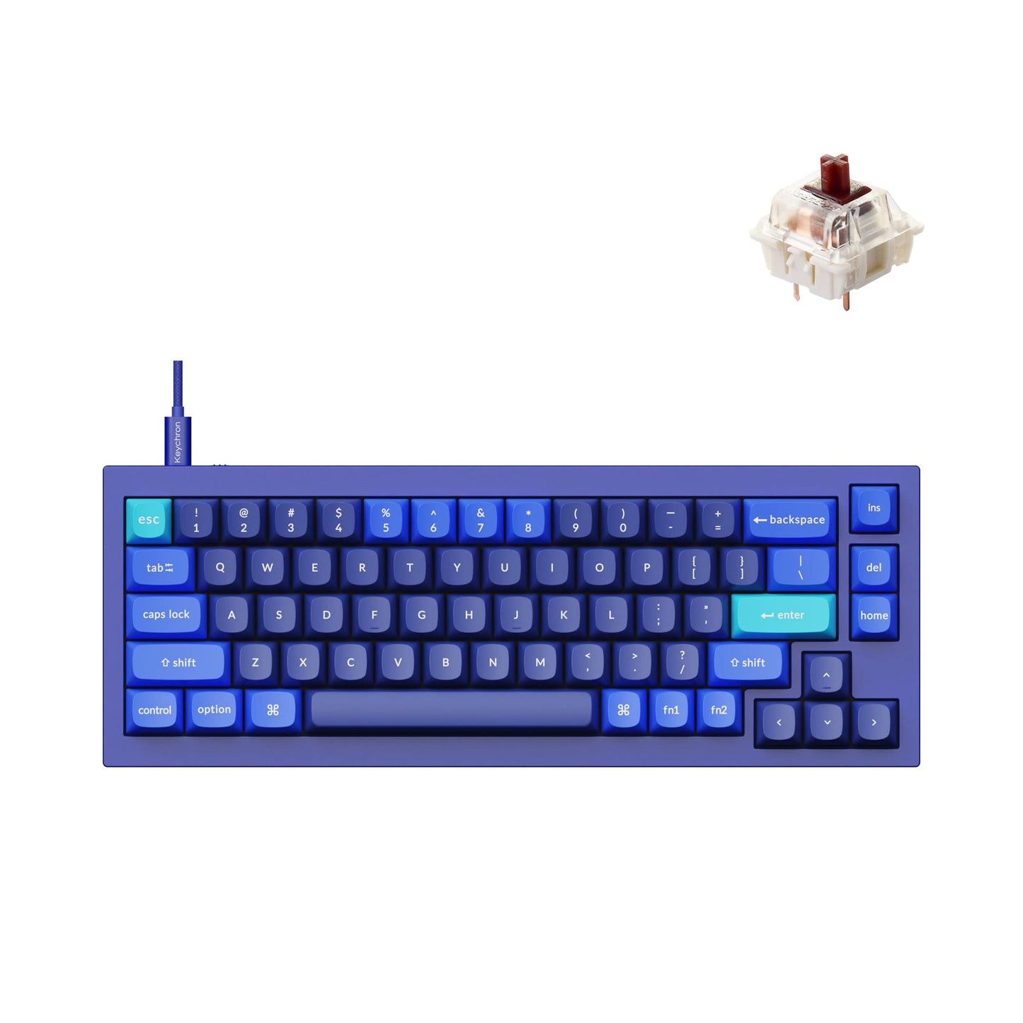 Keychron Q2 Wired Custom Mechanical Keyboard QMK/VIA Programmable Macro Full Aluminum Hot-Swappable Gateron G Pro Brown Switch 65% Layout Double Gasket Compatible with Mac and Windows - Blue