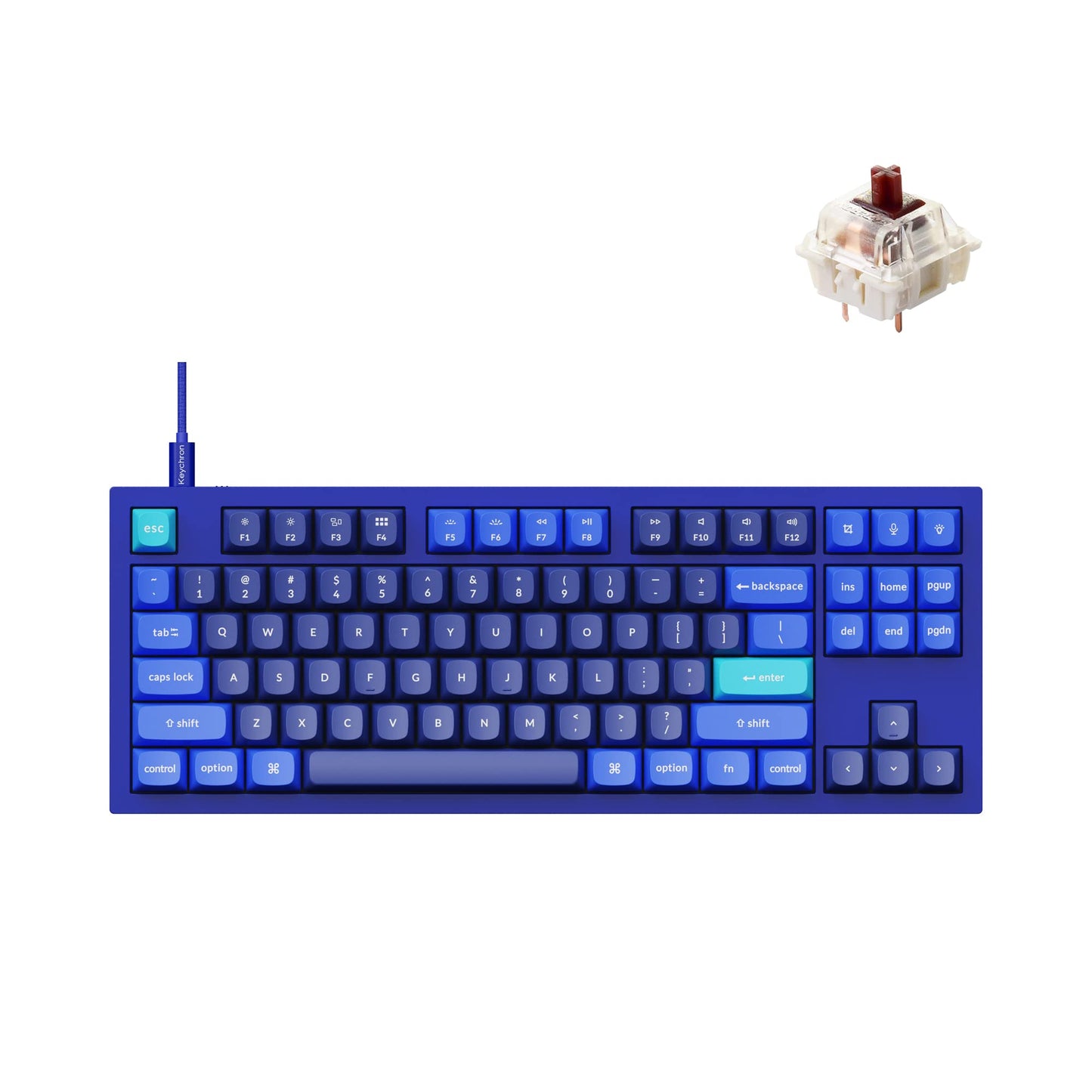 Keychron Q3 QMK/VIA Wired Custom Mechanical Keyboard Full Aluminum Tenkeyless Layout Programmable Macro with Hot-swappable Gateron G Pro Brown Switch Compatible with Mac Windows Linux (Blue)