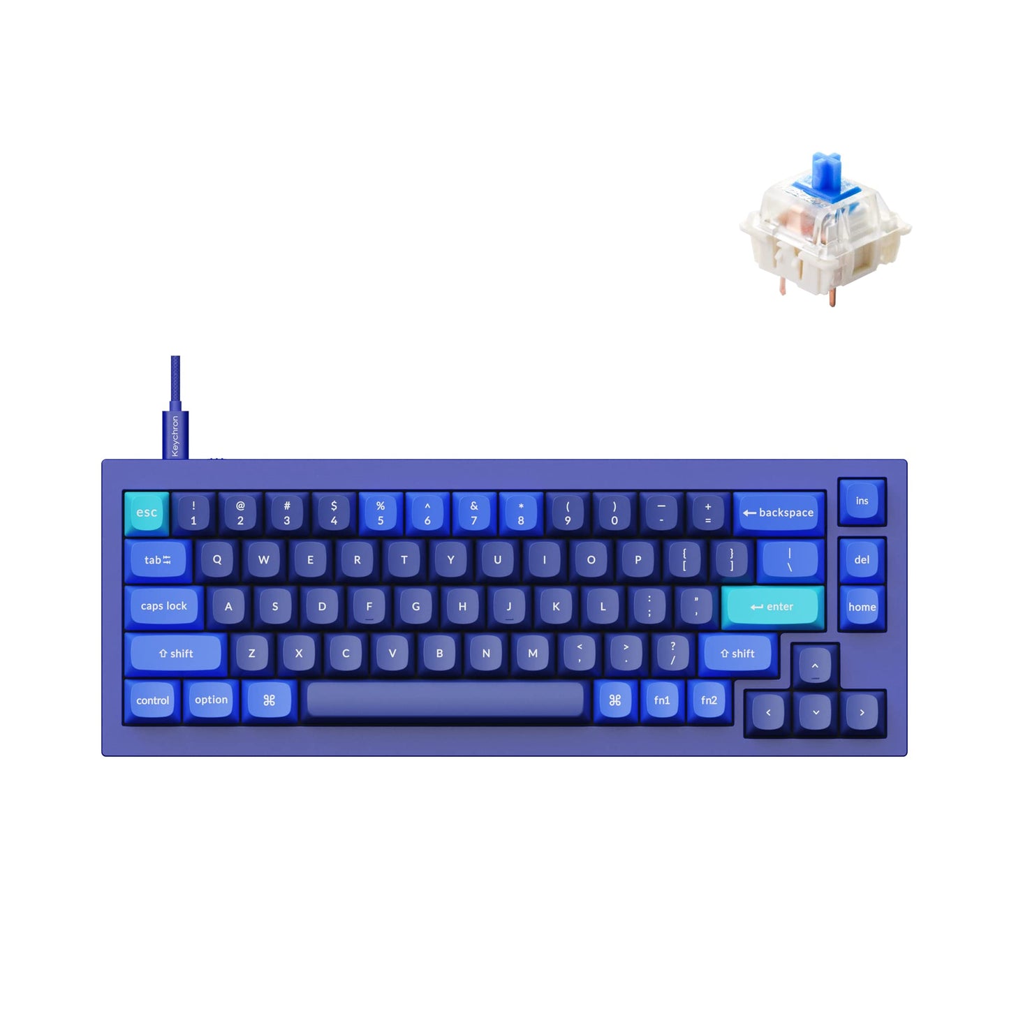 Keychron Q2 Wired Custom Mechanical Keyboard QMK/VIA Programmable Macro Full Aluminum Hot-Swappable Gateron G Pro Blue Switch 65% Layout Double Gasket Compatible with Mac and Windows - Blue
