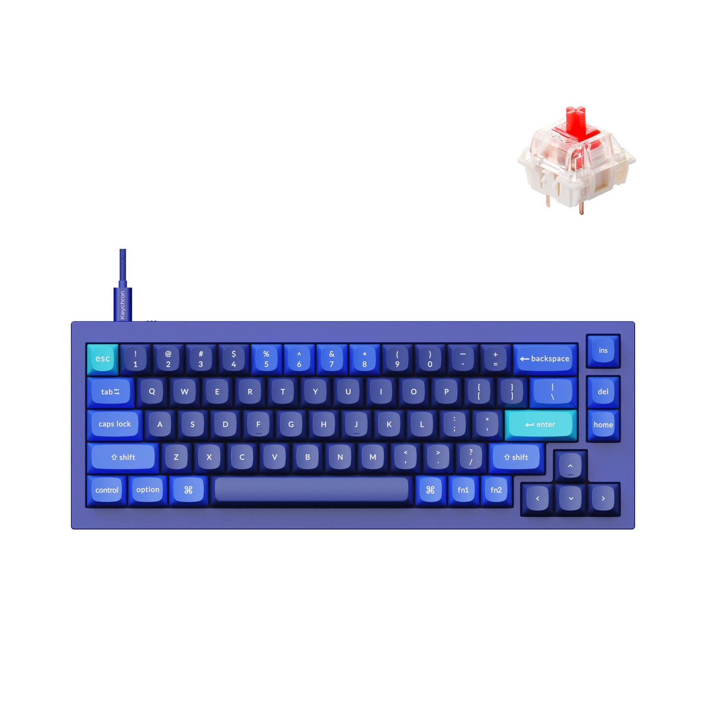 Keychron Q2 Wired Custom Mechanical Keyboard QMK/VIA Programmable Macro Full Aluminum Hot-Swappable Gateron G Pro Red Switch 65% Layout Double Gasket Compatible with Mac and Windows - Blue