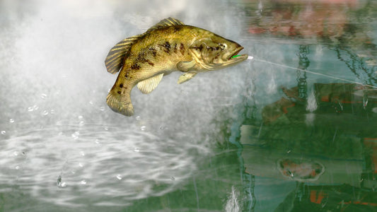 ACTIVISION Rapala Pro Bass Fishing Game with Rod Peripheral - Nintendo Wii, Model 76409