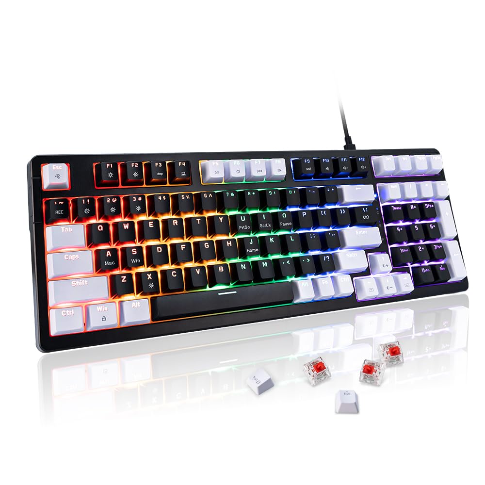 WJX Computer Clicky Keyboard Wired 98 Full Key Compact RGB keyboard with 19 Modes Mechanical Gaming Keyboard for PC & Mac Hot-Swappable Red Tactile Mechanical Switch USB-C control PBT Keycaps(Black)
