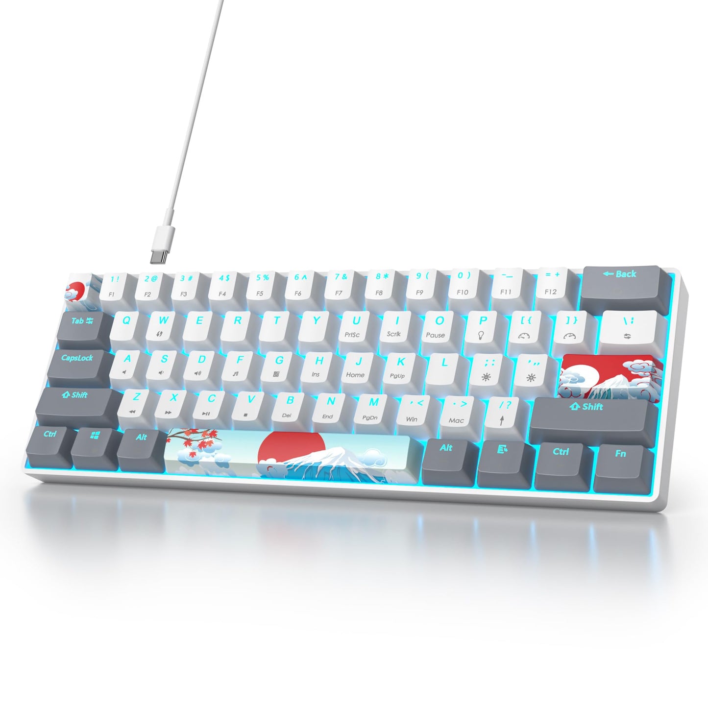 Ussixchare 60 Percent Gaming Keyboard 61 Keys Wired Mechanical Keyboard Ultra Compact Key Board Red Switch LED Backlit for Windows Laptop Gamer