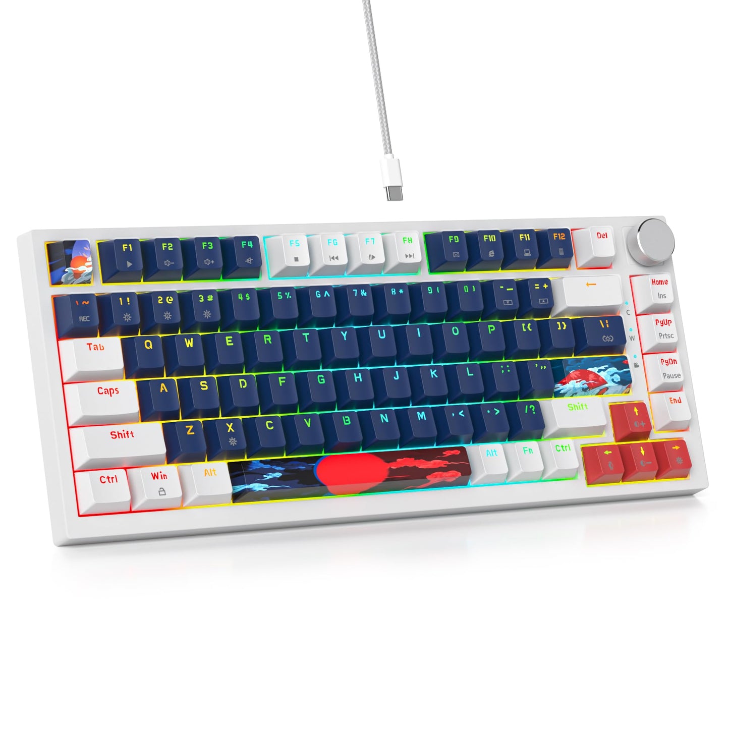 SbocKeeb 75 Percent Keyboard Gasket-Mounted with Sound Absorbing Pads 82-Key Compact Wired RGB Mechanical Gaming Keyboard Hot-Swap Socket for Win Blue Earth
