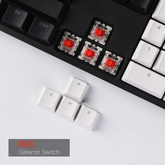 Keychron C2 Wired Mechanical Gaming Keyboard, 104 Keys, Gateron G Pro Red Switch, RGB Backlight, Mac Layout