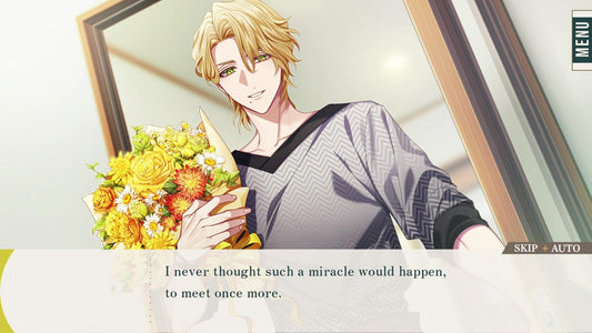 PQube Him, The Smile and Bloom - Nintendo Switch Game (Model: NSW-PQ-HSB)