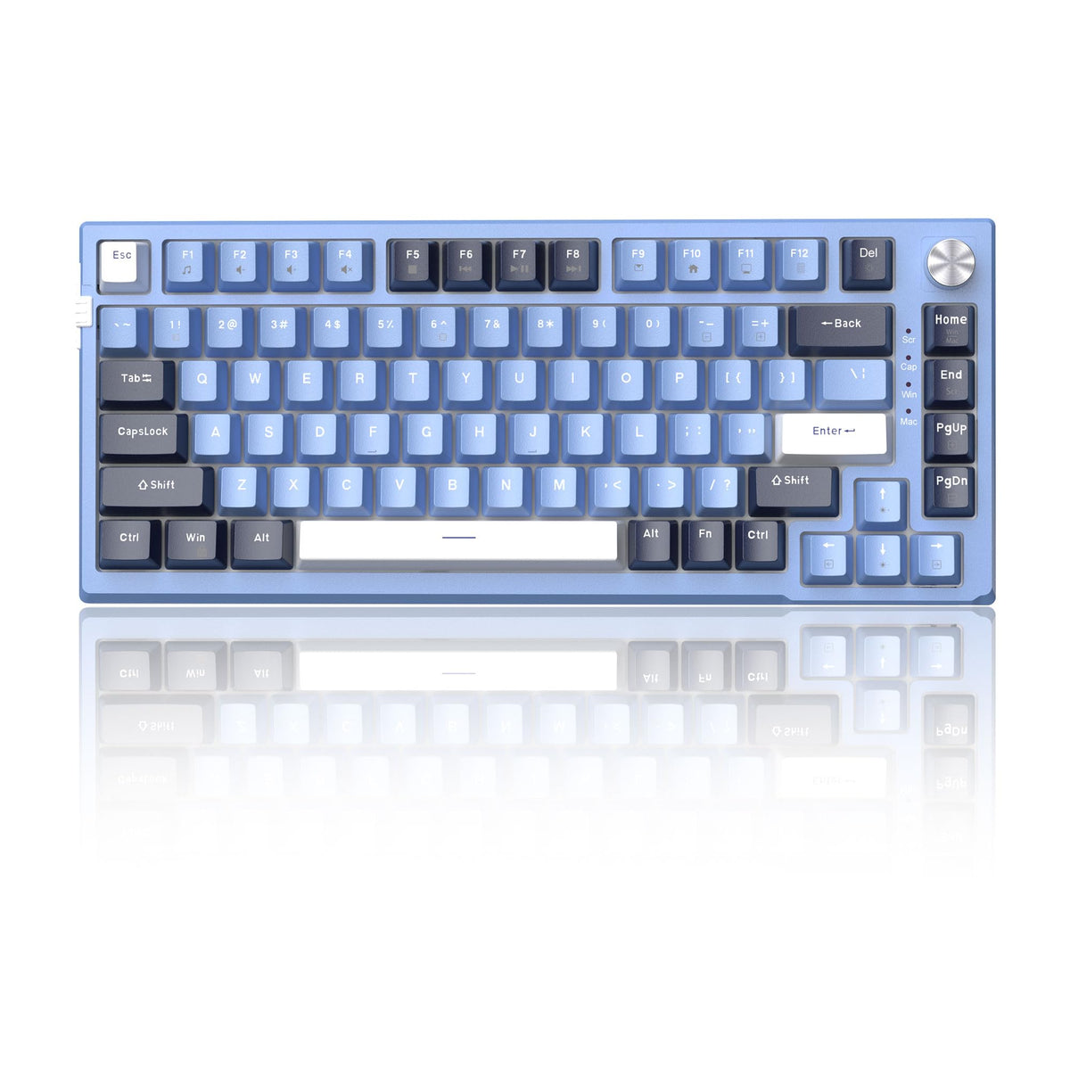 MageGee SKY81 75% Mechanical Gaming Keyboard Gasket Hot Swappable Wired Custom Creamy Keyboard w/ 5-Layer Sound Padding Knob Control RGB Backlit NKRO for Win/Mac (Prussian Blue Blue Whale Switch)