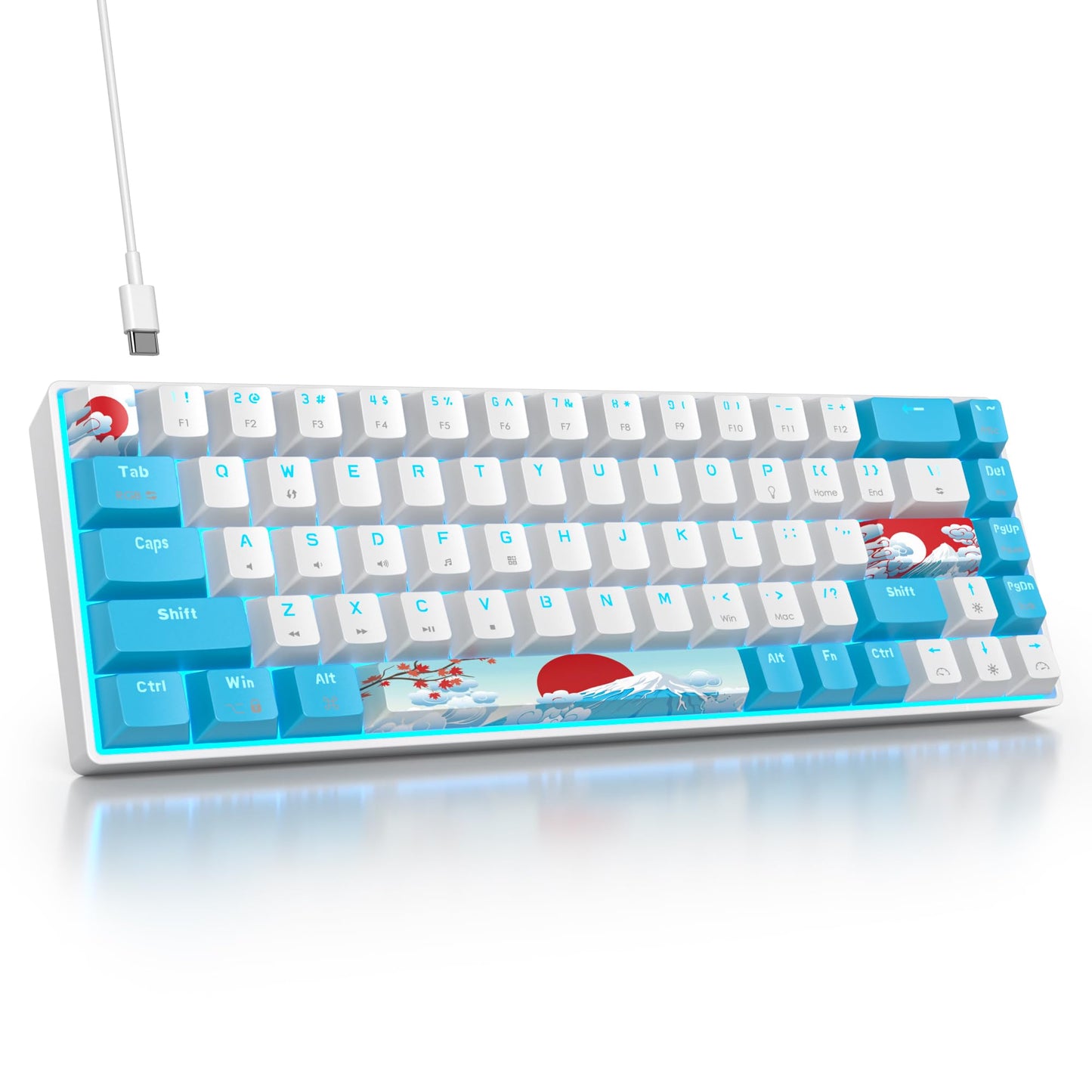 Ussixchare 65 Percent Mechanical Gaming Keyboard 65% Portable Keyboard 68 Keys Compact Wired Keyboard RGB Backlit for PC Laptop Gamer(68 Sea/Blue Switch)
