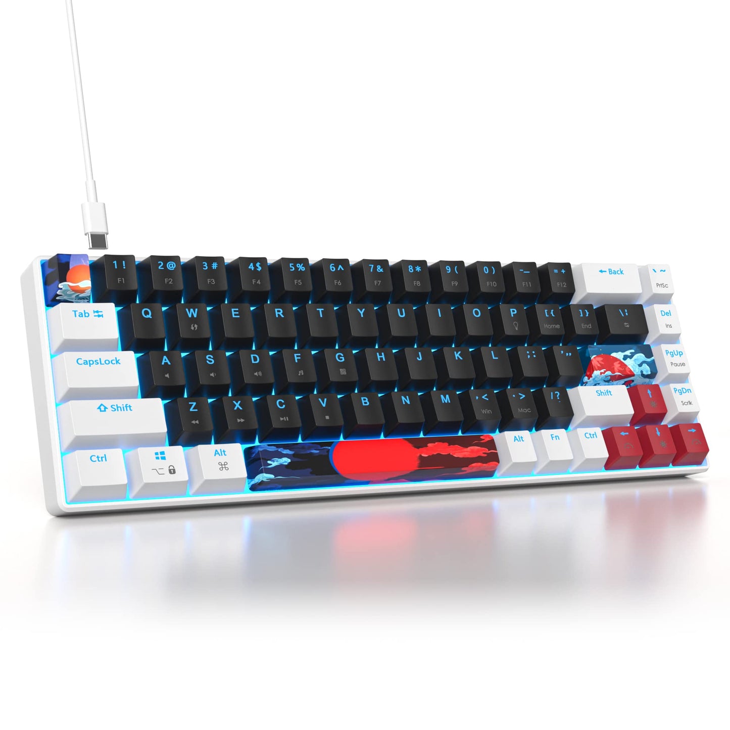 Ussixchare 60 Percent Gaming Keyboard 68 Keys Mechanical Keyboard LED Backlit Compact Wired Keyboard with Red Switch for Windows PS4/5 Xbox Gamer(White-Black)