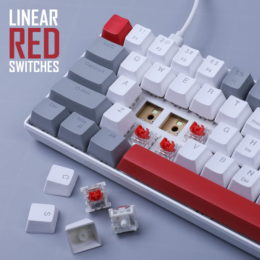 Camiysn 60% Mechanical Gaming Keyboard - Grey & White, Hot Swappable Red Switches, Mini Size, Wired Type-C, Powder Blue Backlight