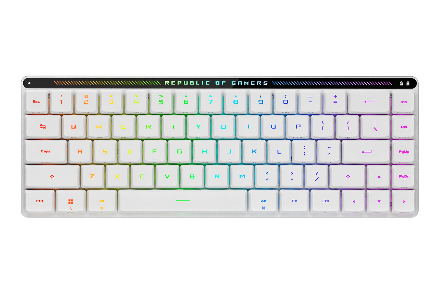 M603 FALCHION formula LP RLBL