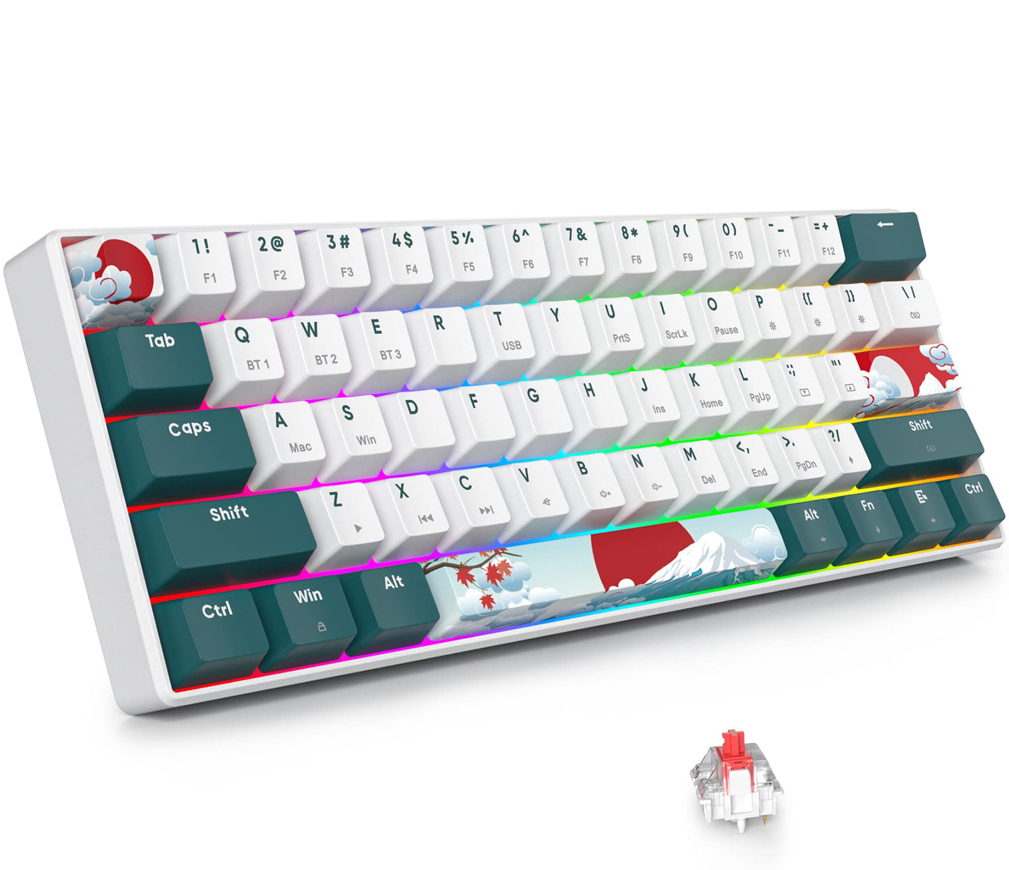 Fogruaden 60% Wireless Mechanical Keyboard Hot Swappable USB-C Wired/Bluetooth Keyboard with RGB Backlit for Win/Mac 61 Keys NKRO Gaming Keyboards Double Shot PBT Keycaps(Red Switch Forest)