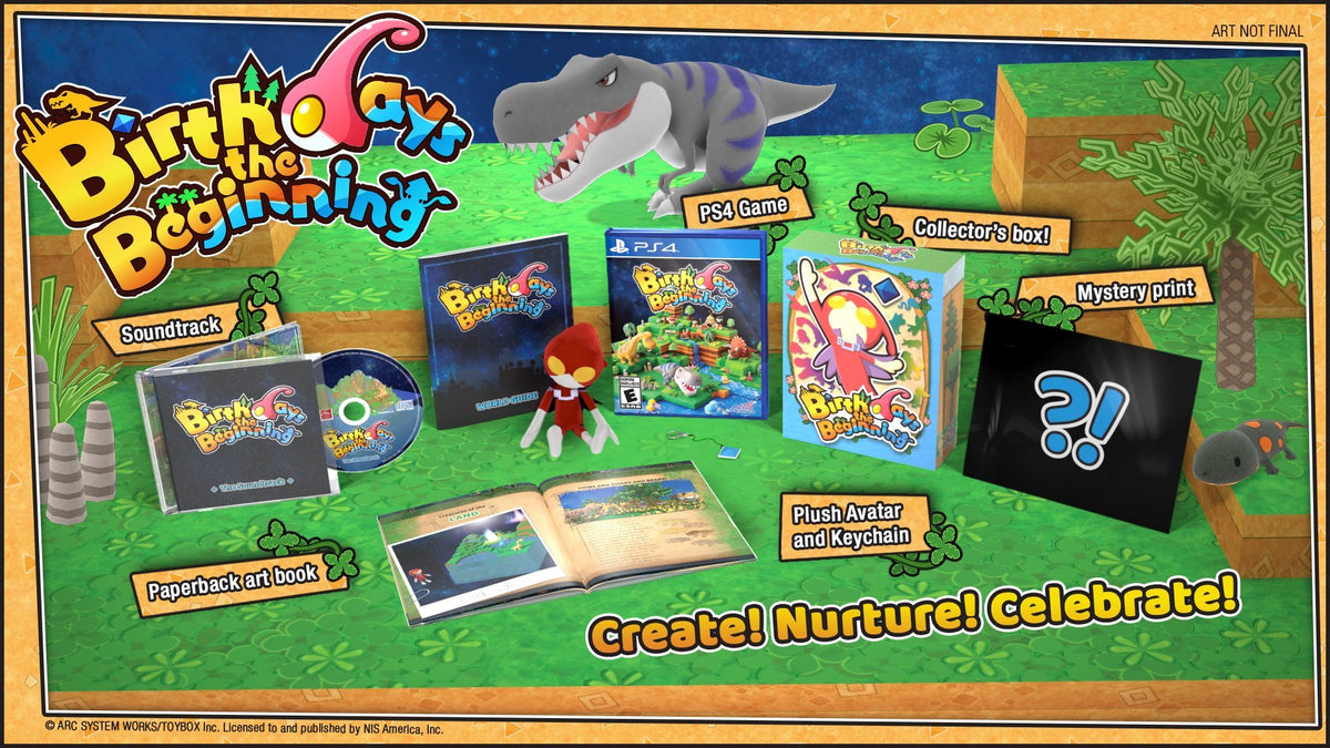 Birthdays the Beginning: special edition - PlayStation 4