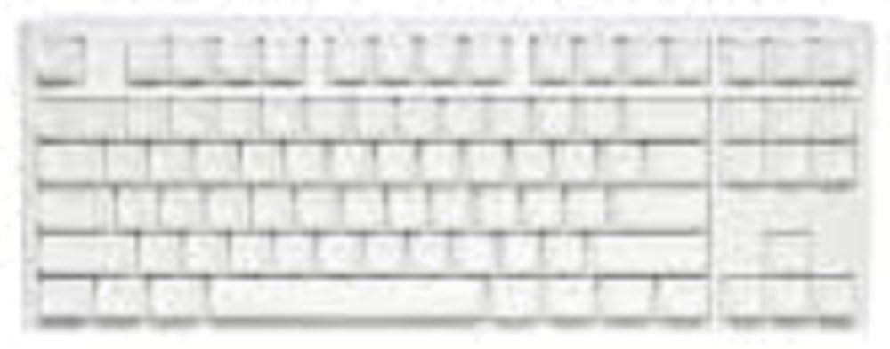 Ducky One 3 White 80% Mechanical Keyboard: Quack Mechanics Dampening  Hot-Swappable Cherry Black Switches  High-Density PBT Doubleshot Keycaps  RGB  US  White
