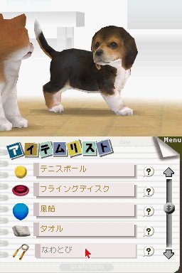 Nintendo Nintendogs Lab & Friends (Renewed) - Engaging Pet Simulation Game for Nintendo DS