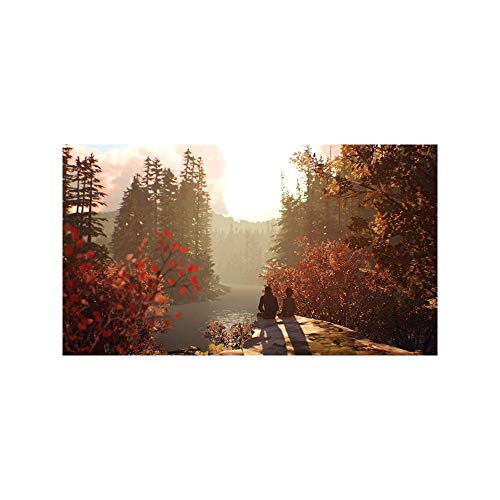 Square Enix Life is Strange 2 PS4 Game - Model SQEA33.UK.22DE, Action-Adventure, Engaging Narrative