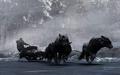 THQ Nordic Fade To Silence for PS4 - Model 227571, Action-Adventure Game