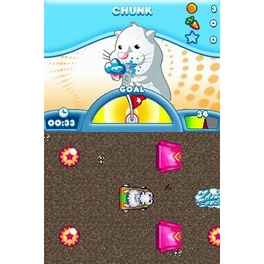 ACTIVISION Zhu Zhu Pets - Nintendo DS Game, Model 76185, Fun Interactive Play for Kids