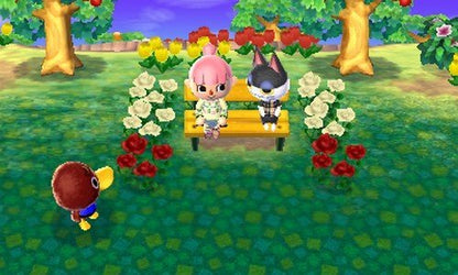 Nintendo Animal Crossing: New Leaf Game - Model 045496742393 - Black Color