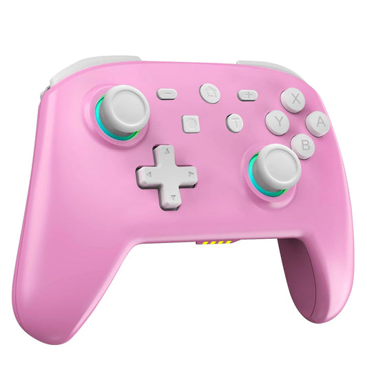 HEDYDK Switch Controllers,For Nintendo Switch Controller with RGB Lighting,Switch Pro Controller for Nintendo Switch/Lite/OLED,P