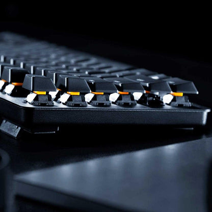 Razer BlackWidow Lite TKL Mechanical Keyboard - Orange Switches, Compact Design, White Key Lighting, Classic Black, Model RZ03-02640200-R3U1
