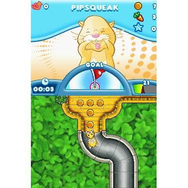 ACTIVISION Zhu Zhu Pets - Nintendo DS Game, Model 76185, Fun Interactive Play for Kids