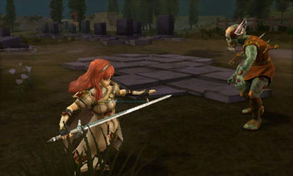 Nintendo Fire Emblem Echoes: Shadows of Valentia - 3DS Standard Edition Model CTRPAJJE