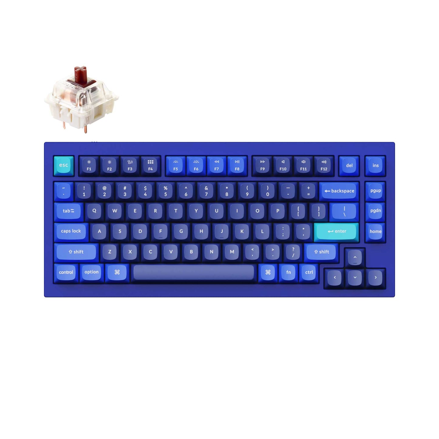 Keychron Q1 RGB Wired Mechanical Keyboard, 75% Layout, QMK/VIA Programmable, Gateron G Pro Brown Switch, Blue, Model Q1J3