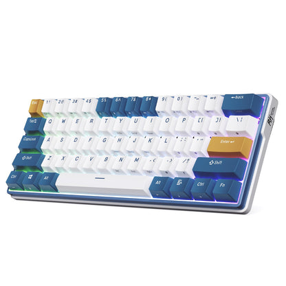 RK ROYAL KLUDGE RK61 Plus Wireless Mechanical Keyboard, 60% Gaming Keyboard, Bluetooth/2.4G/USB, White, Linear SkyCyan Switches