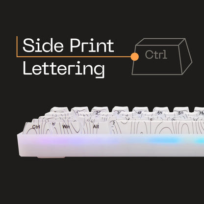 Higround SNOWSTONE 65% Hotswap RGB Mechanical Keyboard - Compact Design, Sleek SNOWSTONE Color