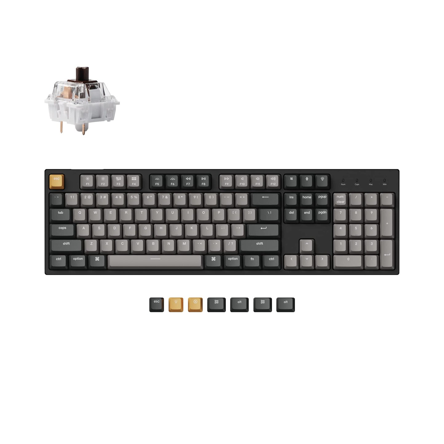 Keychron C2 Pro Wired QMK/VIA Mechanical Keyboard Full Size Layout Custom Programmable Macro RGB Backlit with Keychron K Pro Brown Switch OEM Profile Double-Shot PBT Keycaps for Mac Windows Linux