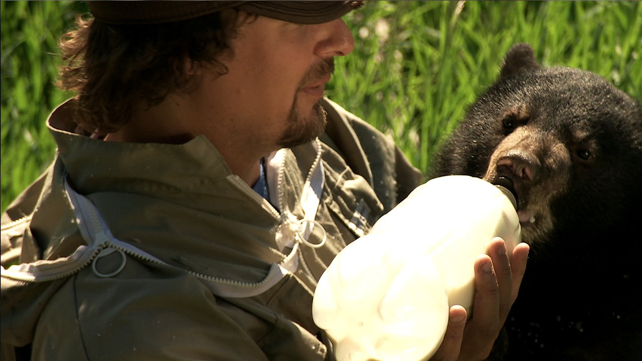 Microsoft Kinect Nat Geo TV for Xbox 360 - E3 2011 Model, Interactive Educational Gaming Experience