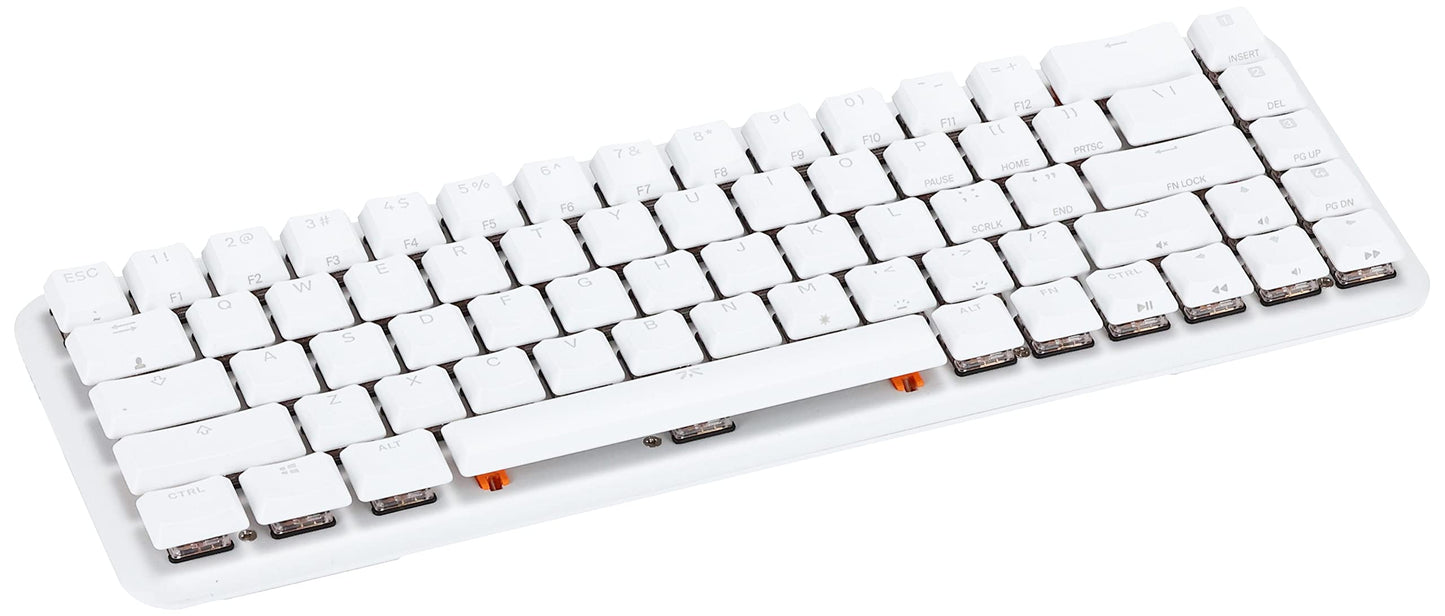 Fnatic STREAK65 LP White Gaming Keyboard | Compact 65% Layout | RGB Speed Switches | PBT Doubleshot Keycaps | US ANSI Layout