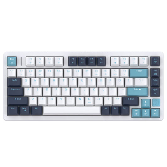 IROK FE75Pro Wireless RGB Mechanical Keyboard - 81 Keys, Hot Swappable, Customizable Backlit, White/Blue Color