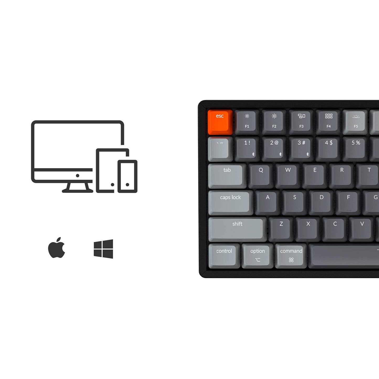 Keychron K4 RGB Mechanical Keyboard, 96% Layout, Bluetooth/USB Wired, Gateron G Pro Red Switch, Model K4J1