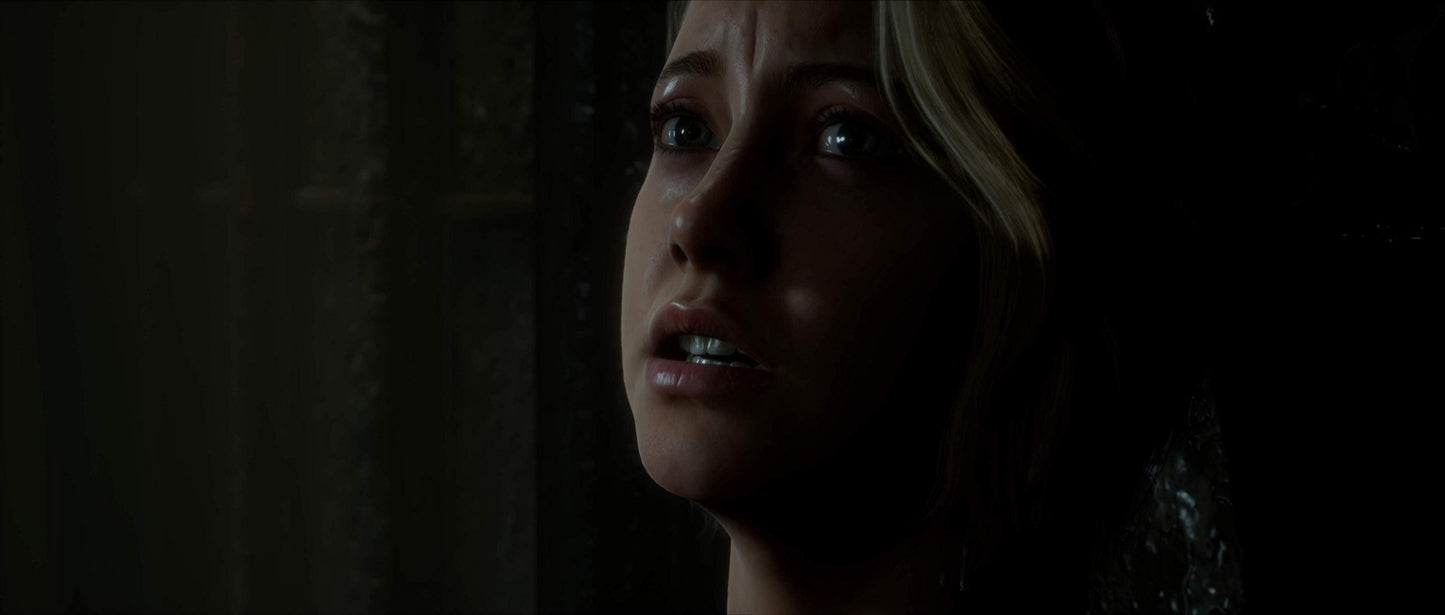 BANDAI NAMCO Entertainment The Dark Pictures Anthology: Man of Medan - PlayStation 4 Game, Model 12230