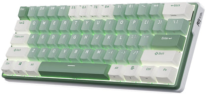 RK ROYAL KLUDGE RK61 Plus 60% Wireless Mechanical Keyboard, Tactile Pale Green Switches, RGB, USB Hub, Bluetooth/2.4Ghz for PC/Mac/
