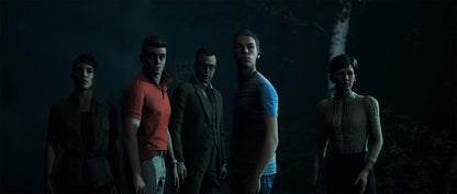 BANDAI The Dark Pictures Anthology: Little Hope for PS4 - Model 113444, Horror Adventure Game