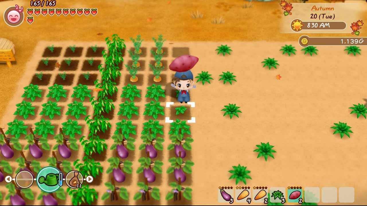 Marvelous Europe Story of Seasons: Friends Of Mineral Town (PS4) - Black Color, Model 5060540771056