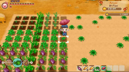 Marvelous Europe Story of Seasons: Friends Of Mineral Town (PS4) - Black Color, Model 5060540771056