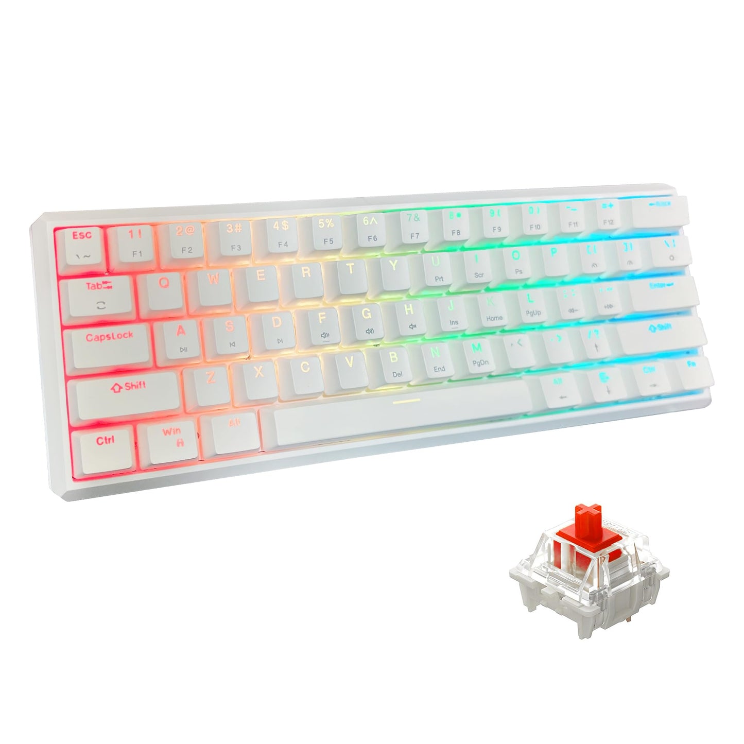 Snpurdiri 60% Wired Mechanical Gaming Keyboard  RGB Backlit 61 Keys Small Gaming Keyboard (White  Red Switches)