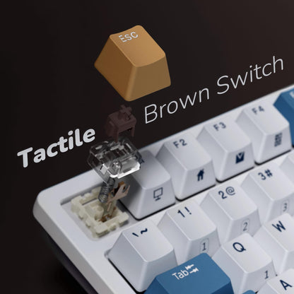 RK ROYAL KLUDGE RK98 Wireless Mechanical Keyboard - Hot Swappable Brown Switches, RGB Backlit, White, 100 Keys, Ergonomic Design