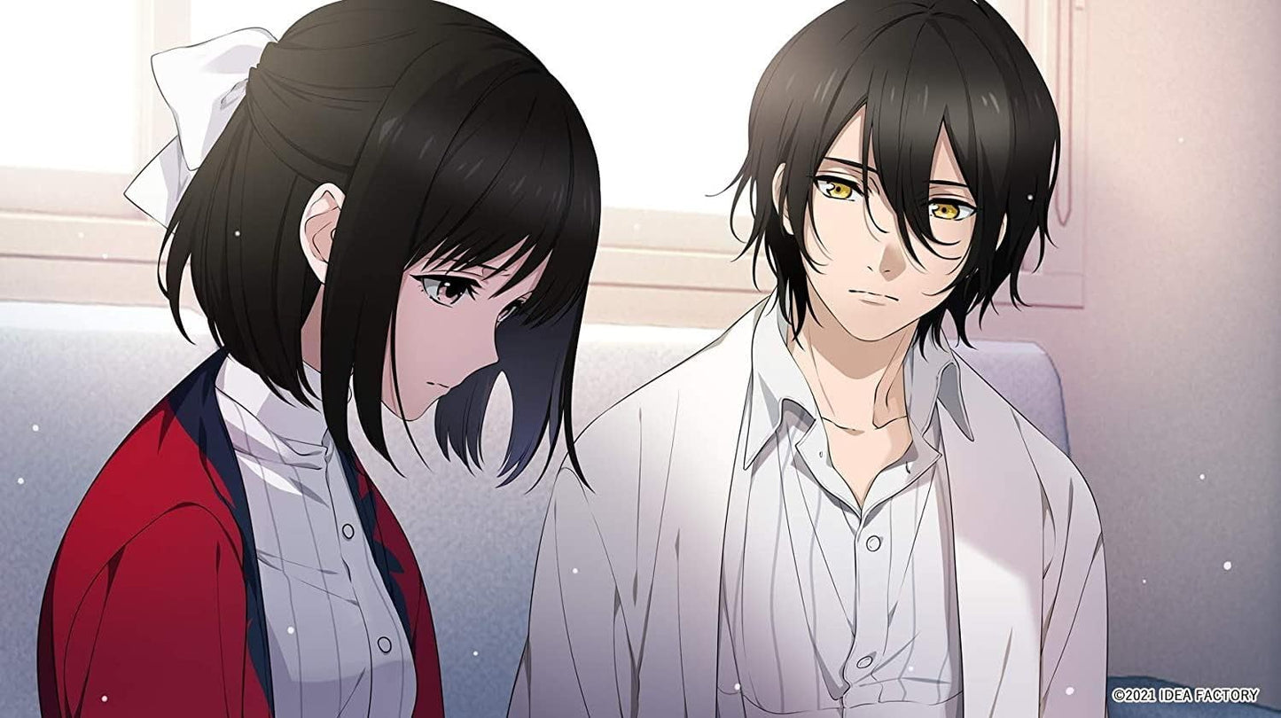 Aksys Paradigm Paradox Game for Nintendo Switch - Model SW-40