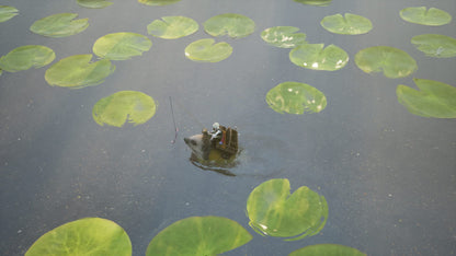 Merge Games Bramble: The Mountain King - Nintendo Switch Game, Model CSCT502168SWI