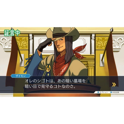 Capcom Phoenix Wright Ace Attorney 1, 2 & 3 Game - Model 1179019 - Black Edition