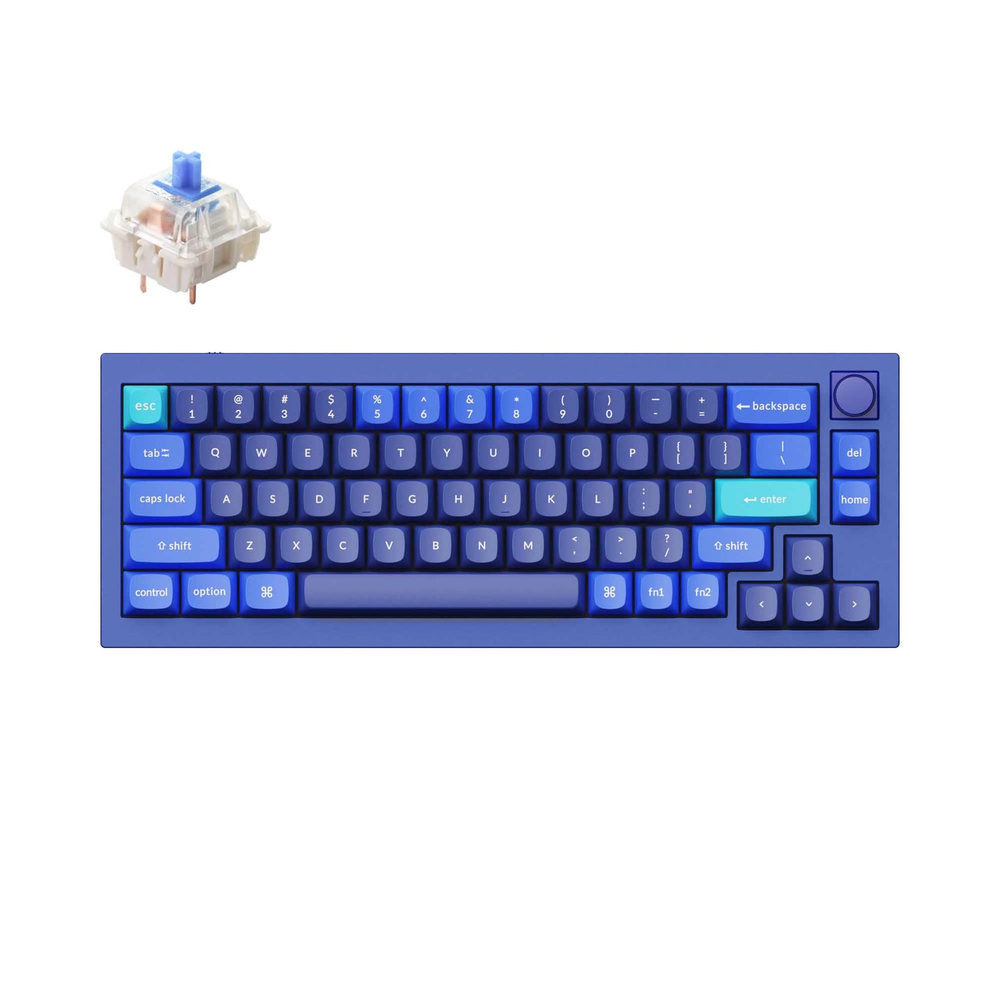 Keychron Q2 Wired 65% Layout Mechanical Keyboard with Knob & RGB - Hot-Swappable Gateron G Pro Blue Switch  QMK/VIA Programmable  Double Gasket Mount  Aluminum Body for Mac/Windows/Linux (Blue)