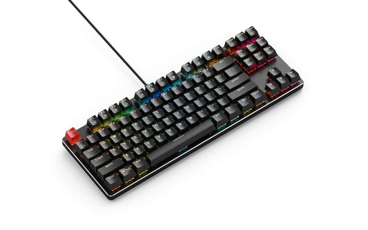 Glorious PC Gaming Race GMMK TKL Gaming Keyboard - USB C Wired, RGB Hot Swappable, Black Metal Top Plate, Tenkeyless