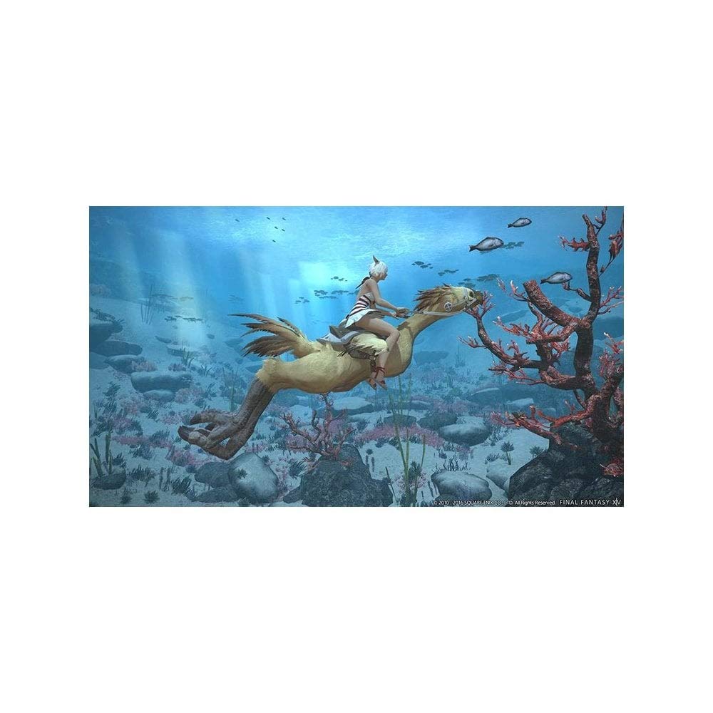 Square Enix Final Fantasy XIV: Stormblood (PS4) - Model 220120, RPG Game